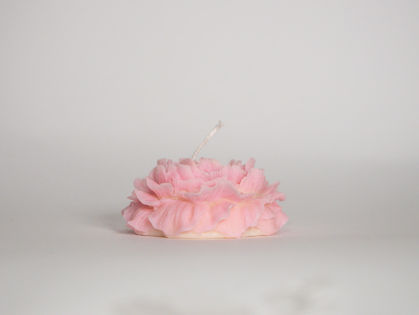 Rose candle