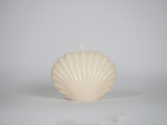 Shell candle